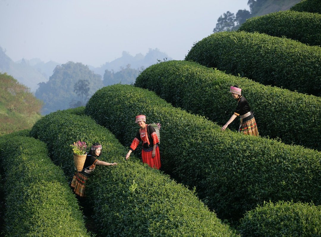 The Unmistakable Power of Experience on Screen