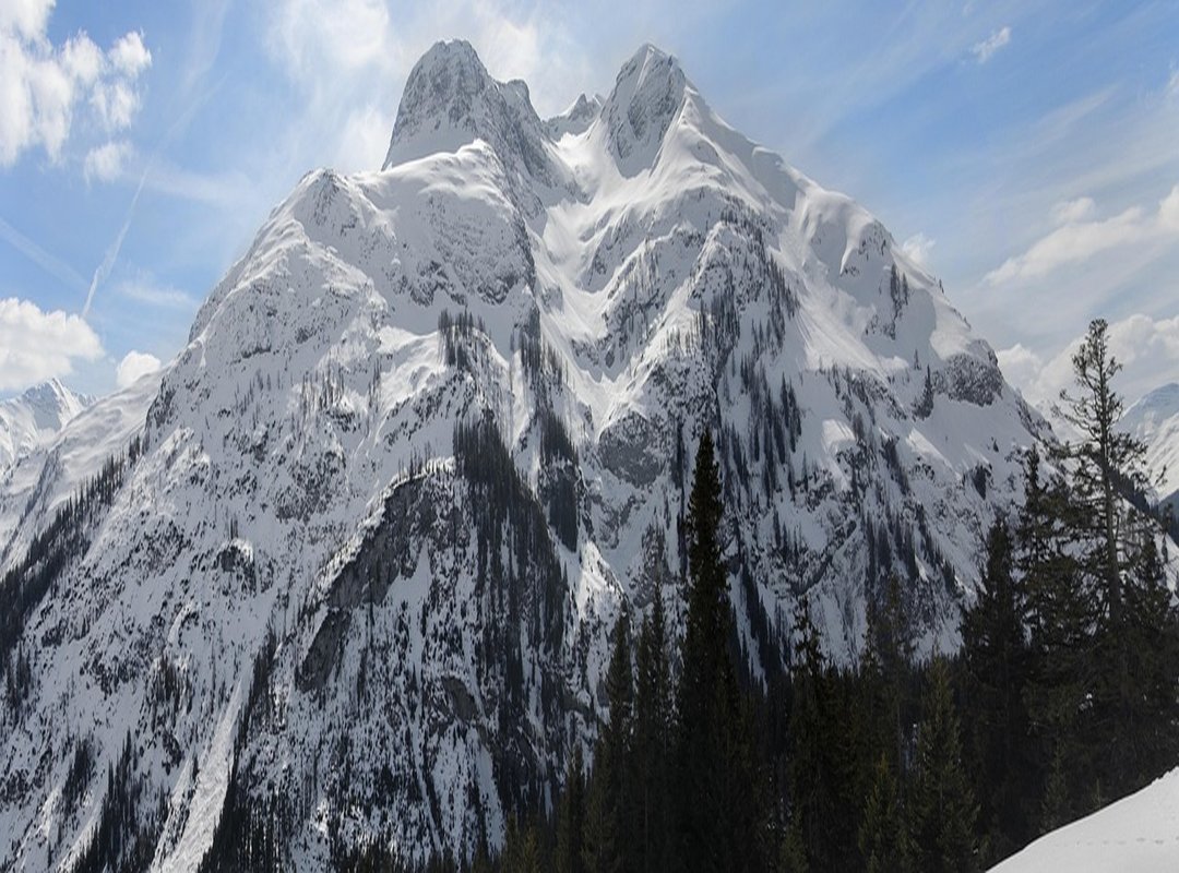 Top Tips and Alternatives Recommended by Redditors