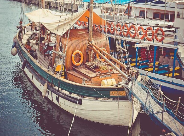 el curandero (película) reparto