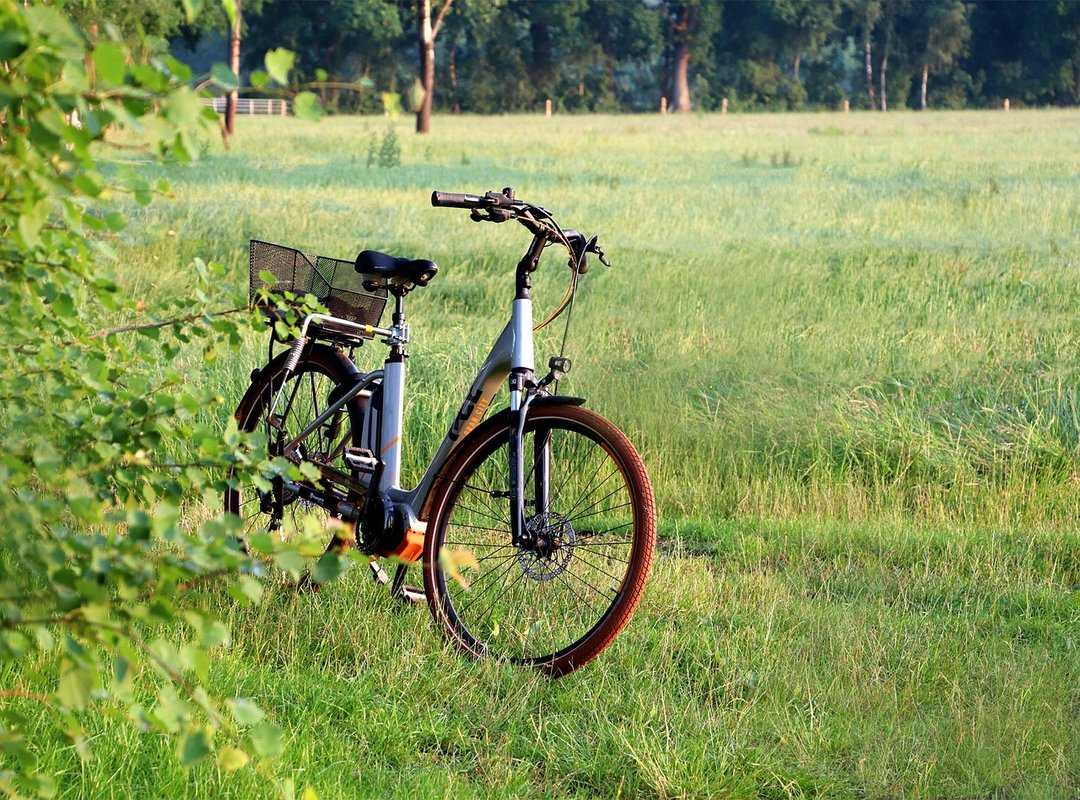 electric bikes future