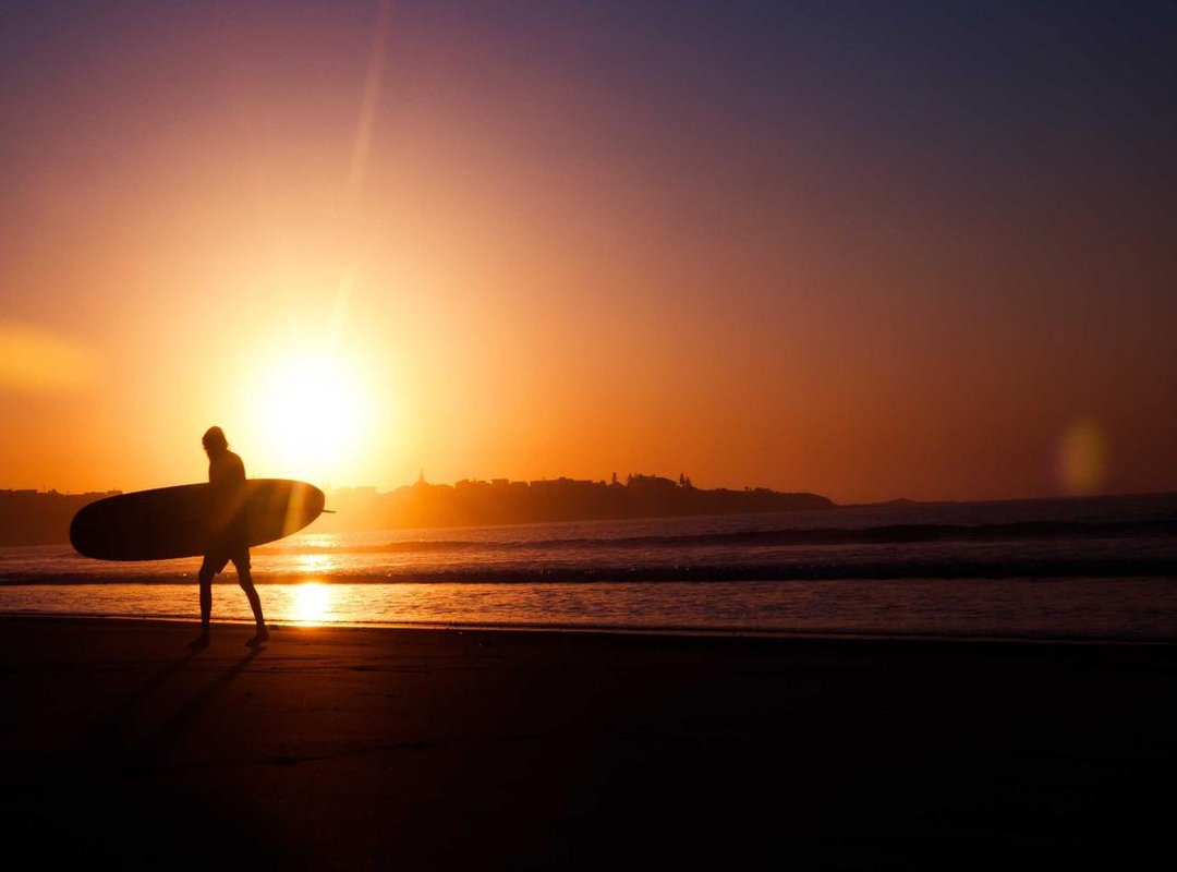 Beyond Denim: Essential Leg and Hand Protection