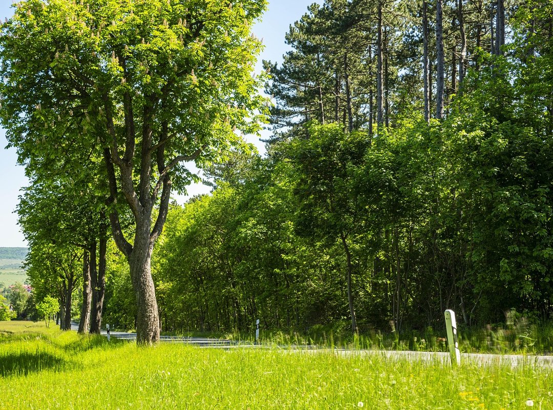 scenic motorcycle routes