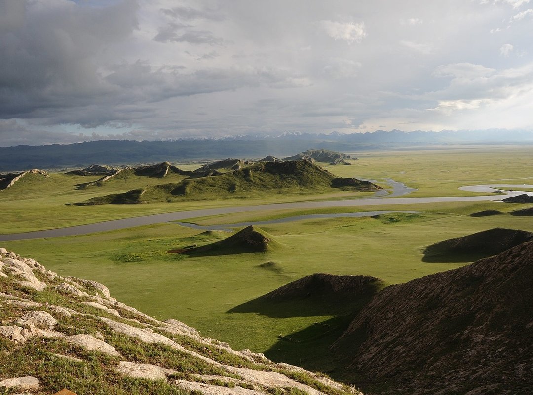 The Central Role of Women in Palestinian Identity