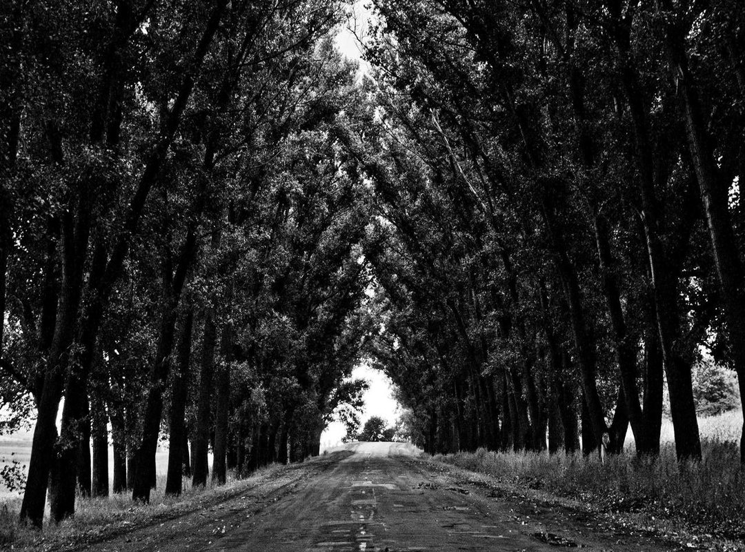 Deconstructing the 'Rambut Pendek': A Rider's Perfect Cut