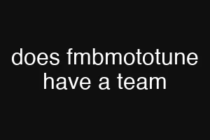 does fmbmototune have a team